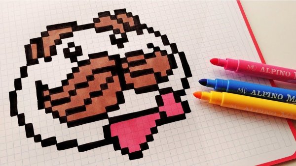 Рисунки по клеточкам