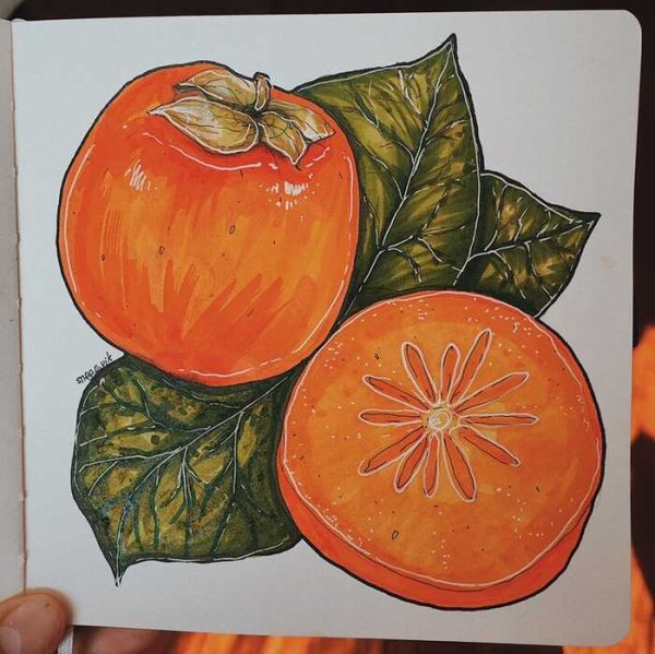 Фрукты для скетчбука