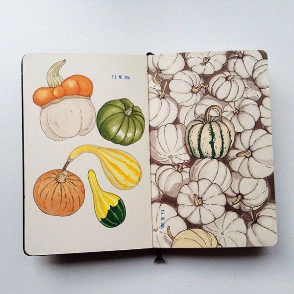 Фрукты в скетчбуке