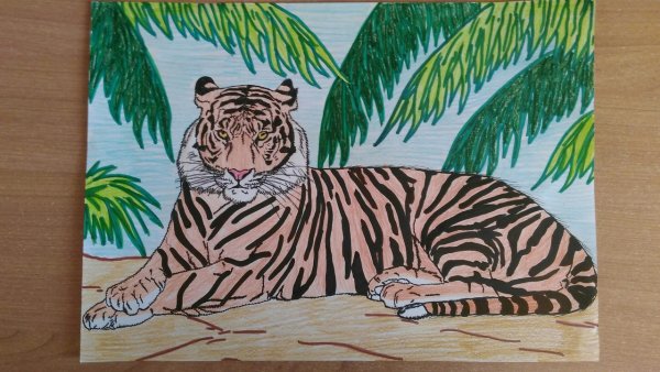 Рисунок тигра фломастерами