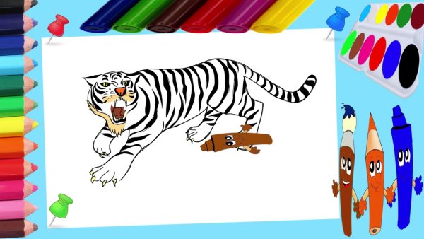 Тигрёнок рисунок маркерами