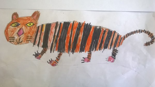 Рисунок Амурского тигра маркерами