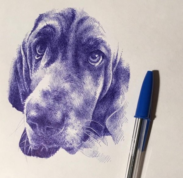 Животные ручкой синей