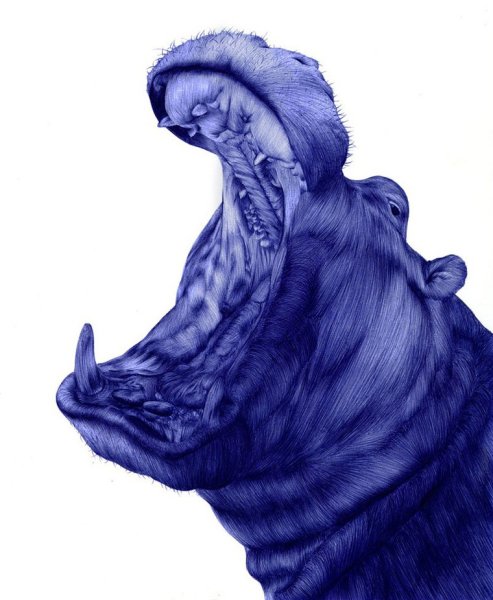 Рисунок шариковой ручкой