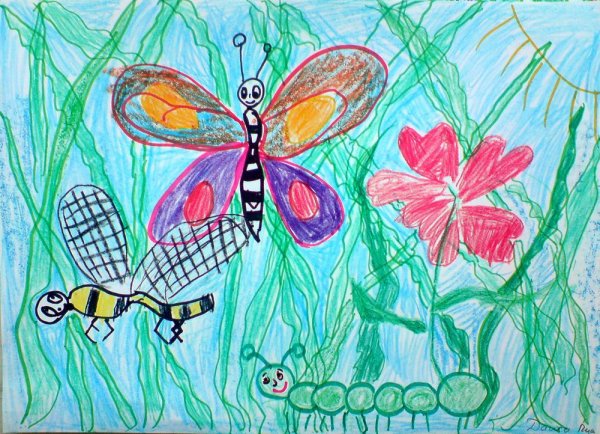 Рисование насекомые