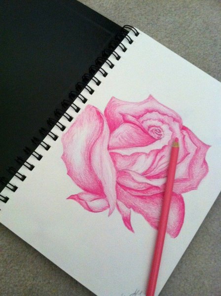 Рисунки маркером черным и красным