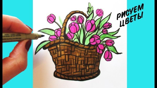 Корзина с цветами рисунок для срисовки