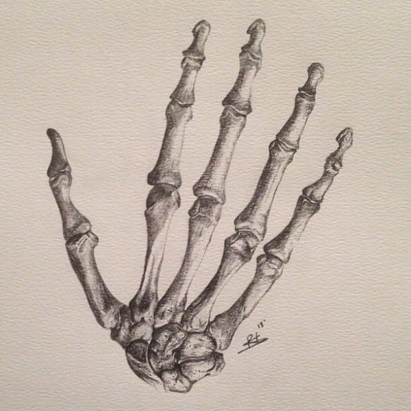 Тату рука скелета на руке