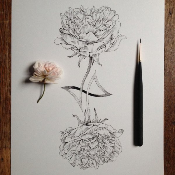 Наброски цветов ручкой