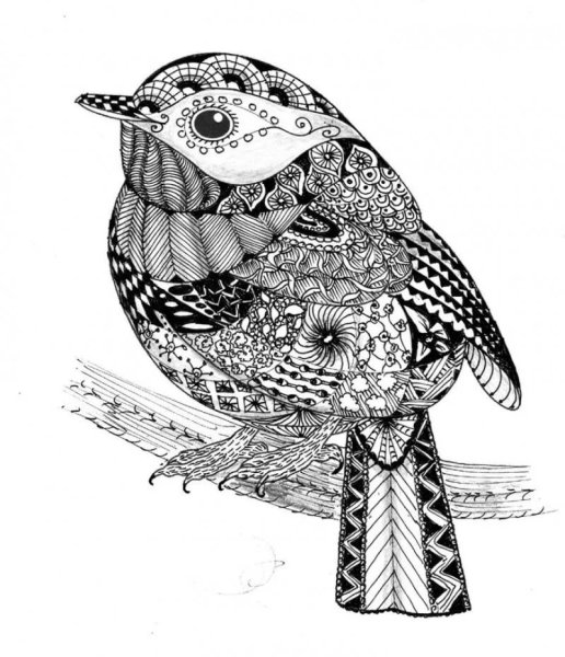 Дулинг Инь Янь