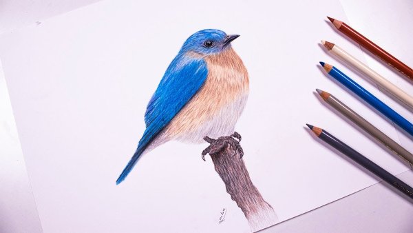 Рисунки небольшие синий ручкой