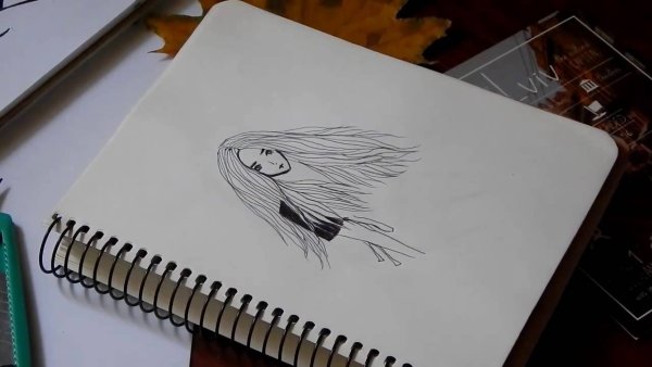 Рисунок ручкой легкий