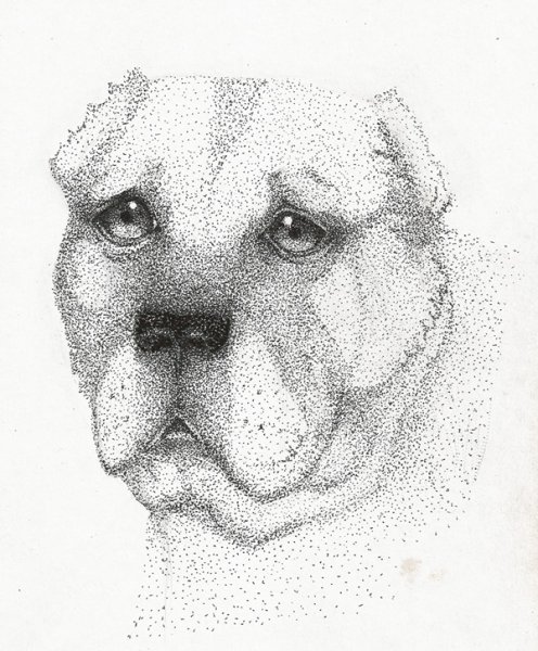 Точечное рисование ручкой