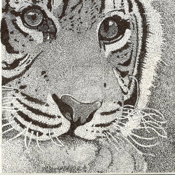 Точечная техника рисования карандашом