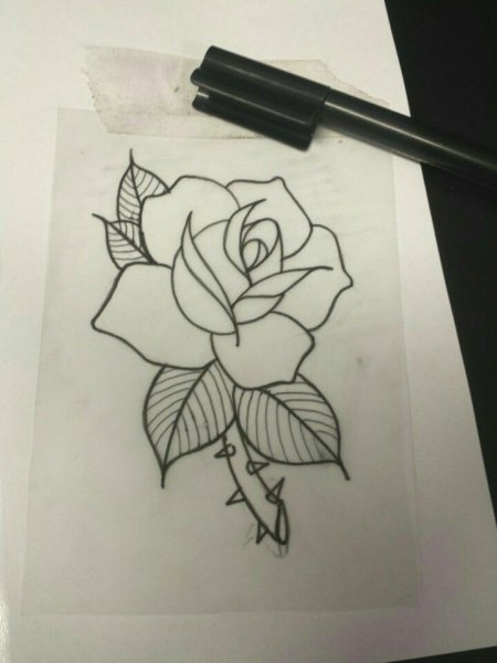 Роза черной ручкой