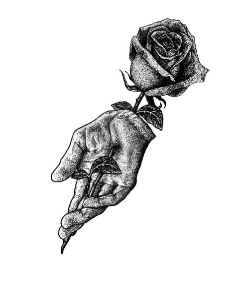 Эскиз тату розы на руку