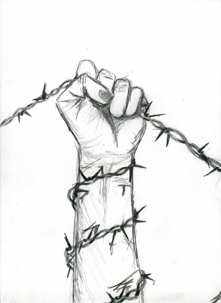 Колючая проволока скетч