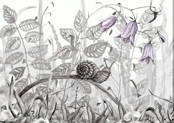 Трава карандашом