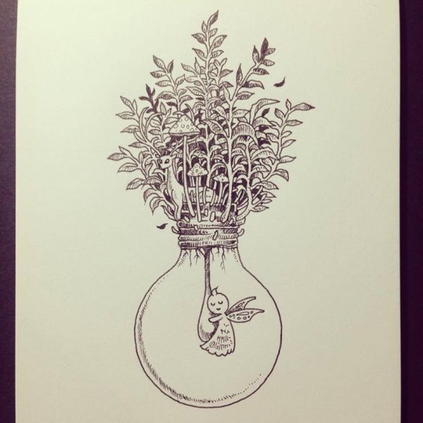 Дюрер с чертополохом