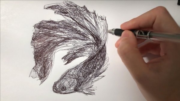 Рыбки рисунок ручкой