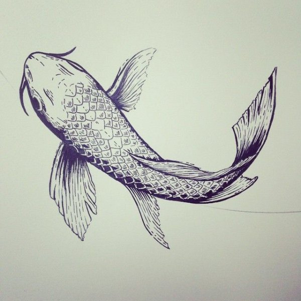 Японские рыбки ручкой