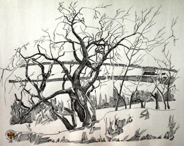 Зимний пейзаж в графике