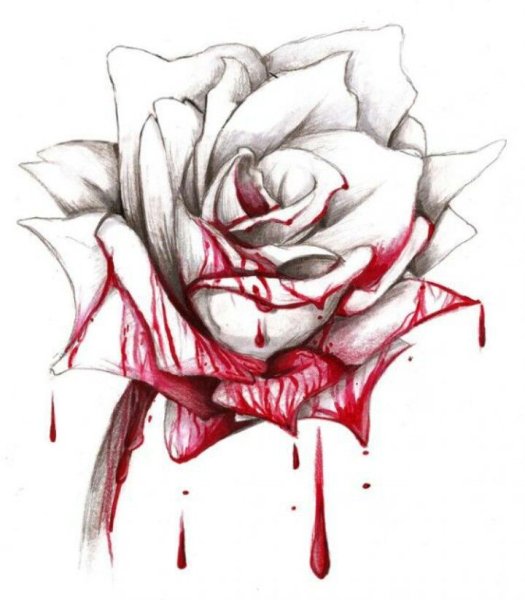 Kerby Rosanes геометрические животные тату