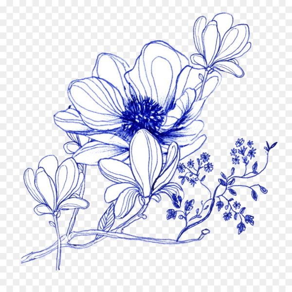 Цветы нарисованные ручкой