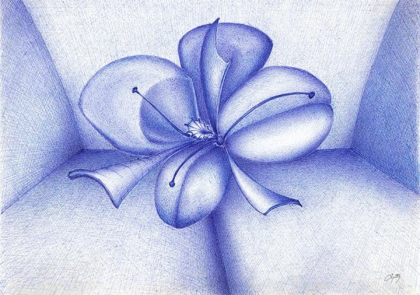 Цветы нарисованные ручкой