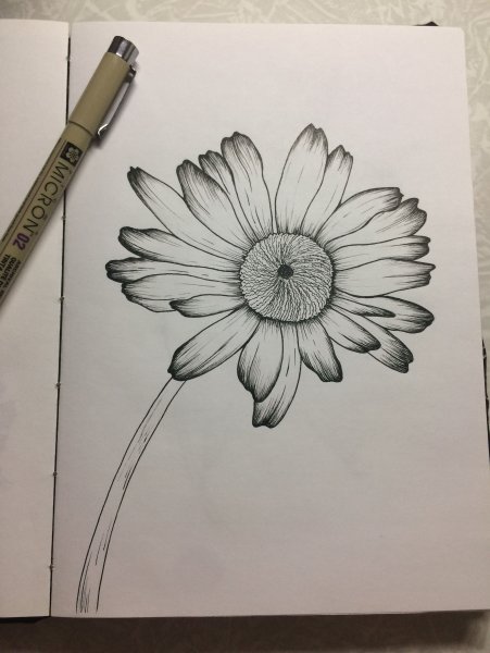 Рисунки линером цветы