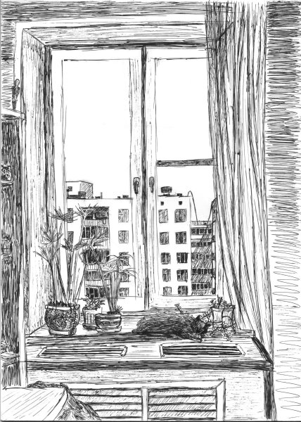 Зарисовки вид из окна