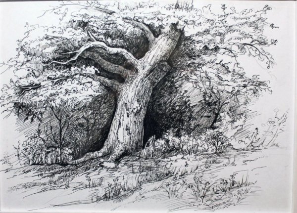 Нарисовать дерево не6полностью