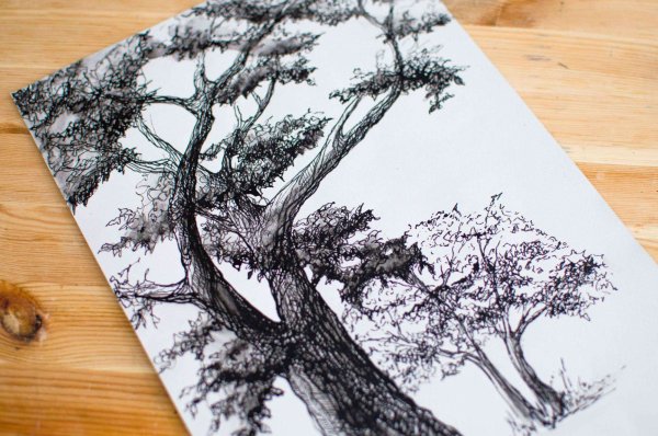 Бамбук черной гелевой ручкой