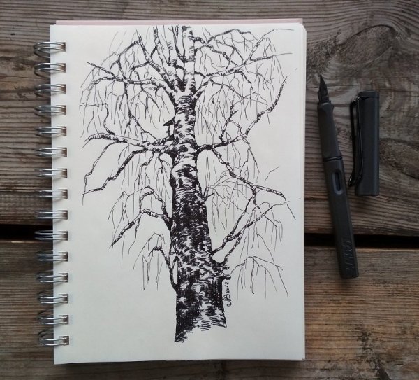 Береза гелевой ручкой