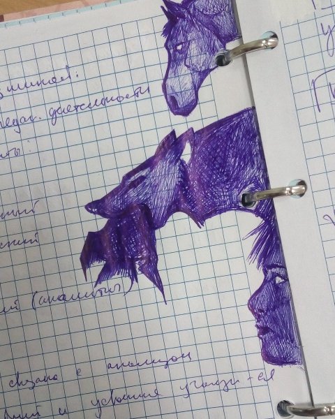 Зарисовки ручкой в тетради