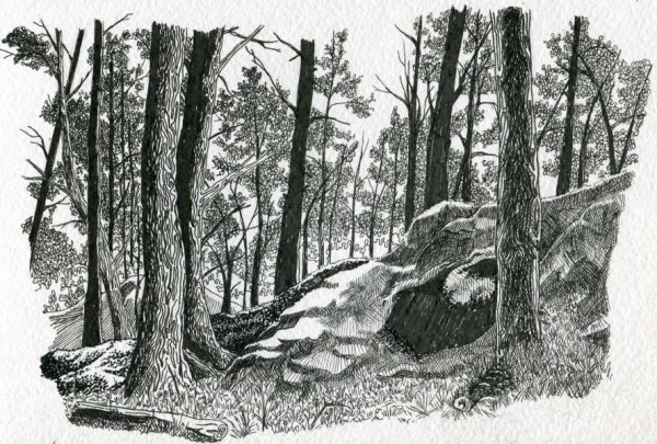 Пейзаж Графика