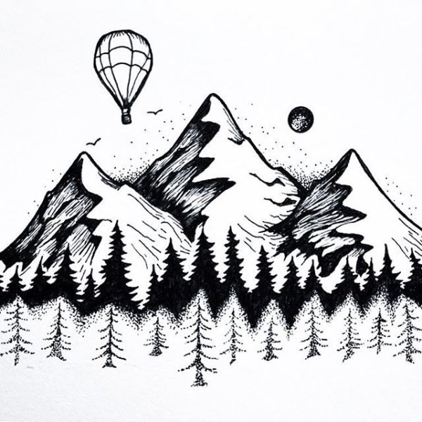 Зарисовки леса