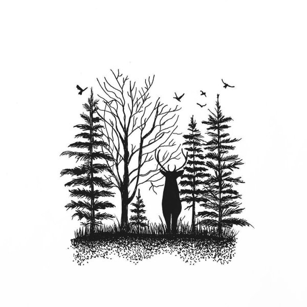 Графические картины