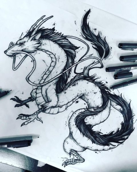 Хаку Унесенные призраками эскиз