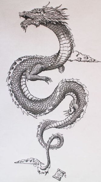 Дракон тату эскиз
