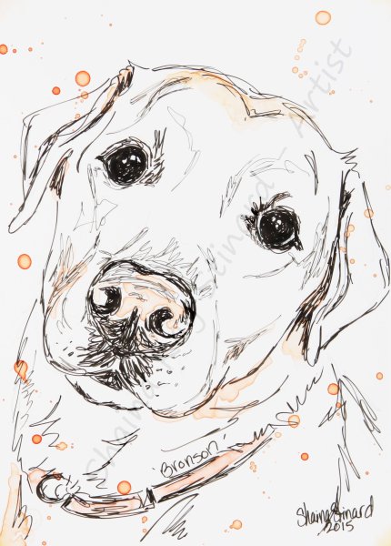 Нарисовать собаку ручкой
