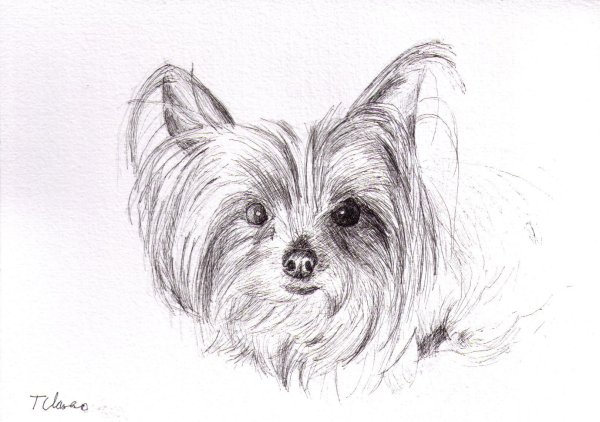 Собака ручкой легко