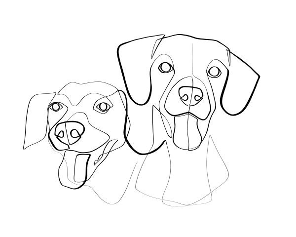 Скетчи животных карандашом