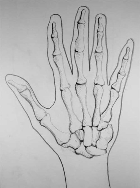 Кисть руки с ручкой