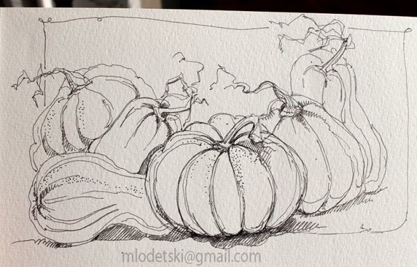 Тыква набросок