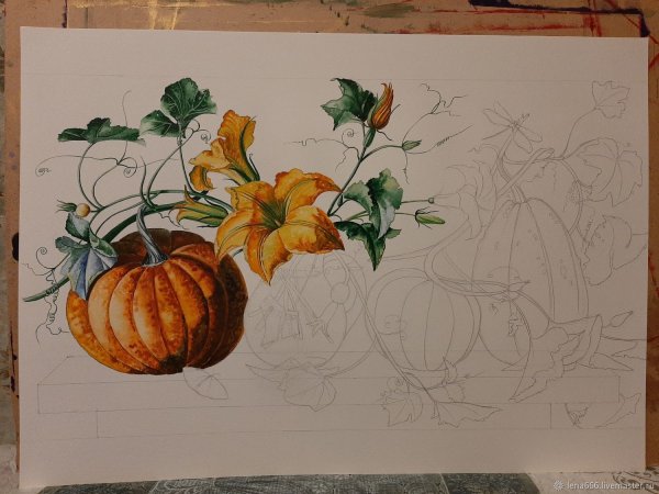 Ботаническая живопись тыква