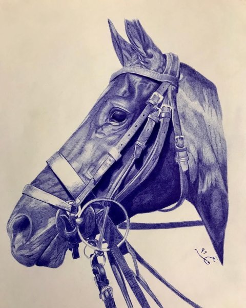 Лошадь ручкой