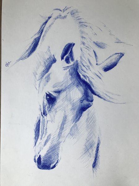 Рисунки лошадей ручкой