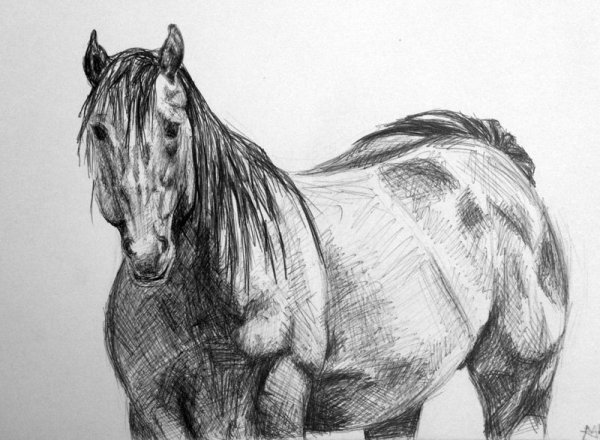 Лошадь ручкой