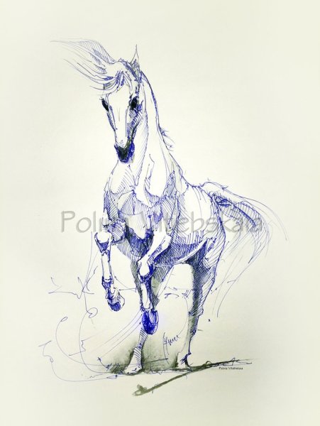 Лошадь черной ручкой